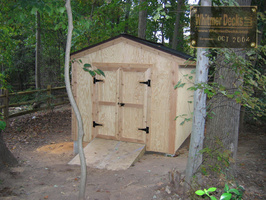 Competed 8x10 Shed