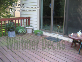 03 That dog need a new deck