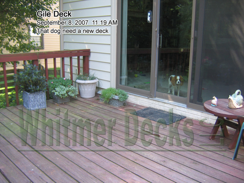 03_That_dog_need_a_new_deck.jpg