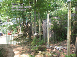 22-New-fence-posts